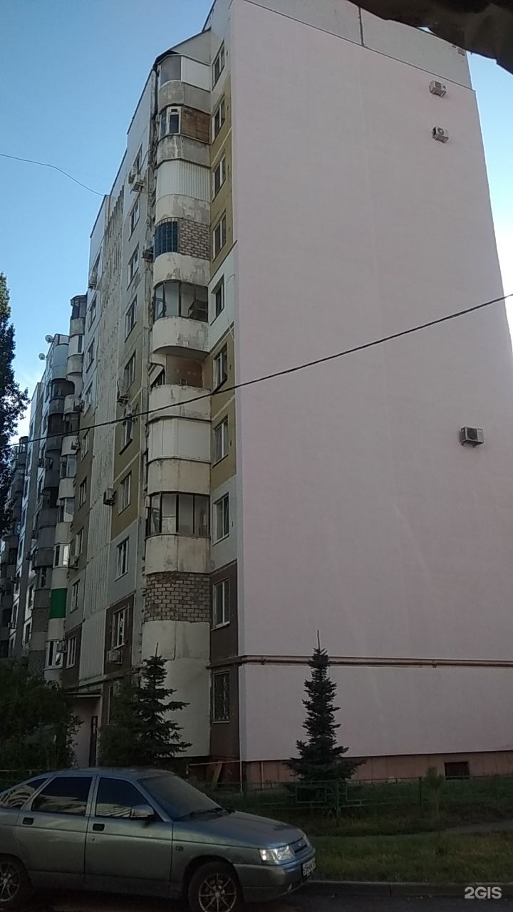 Импульс, кинологический клуб и салон груминга, улица Ново-Садовая, 230