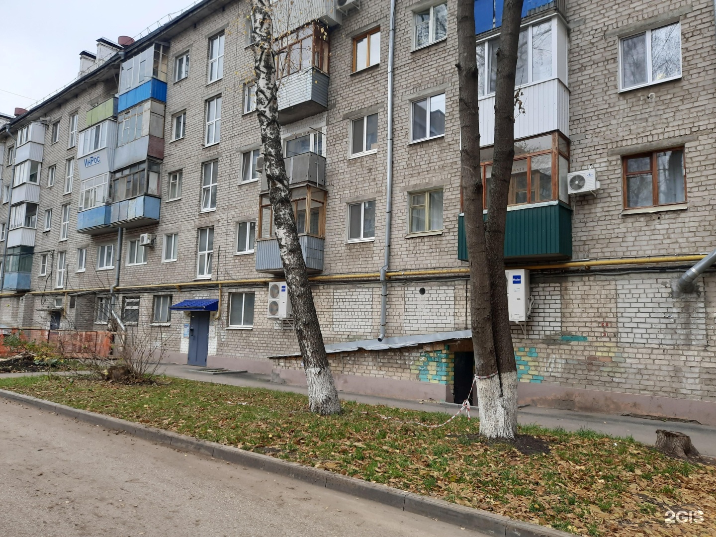 Samara Dog, кинологический центр — груминг Самара