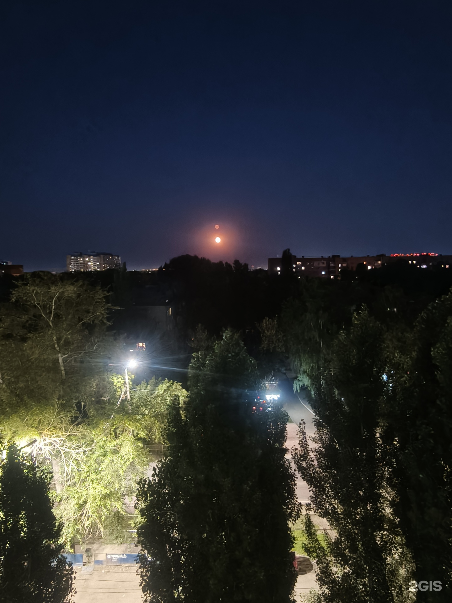 Симба, ветеринарный центр