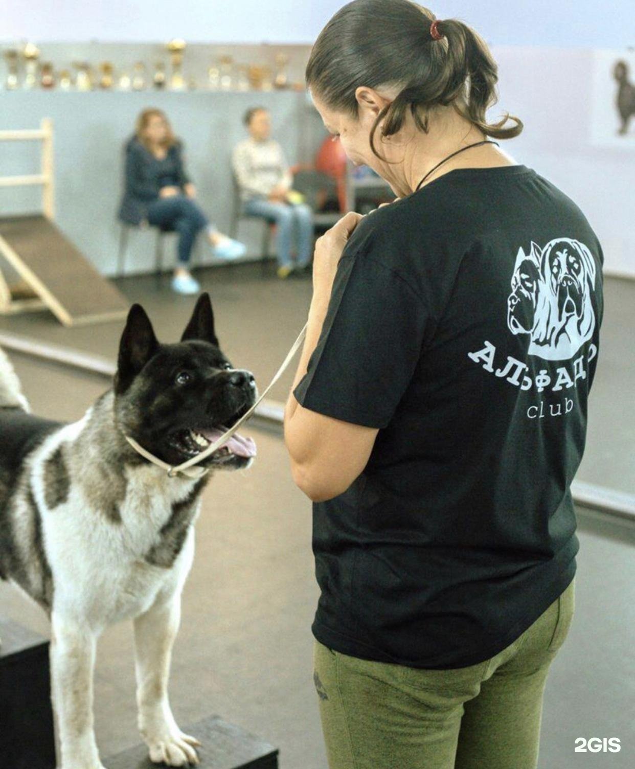 АльфаДог, кинологический центр
