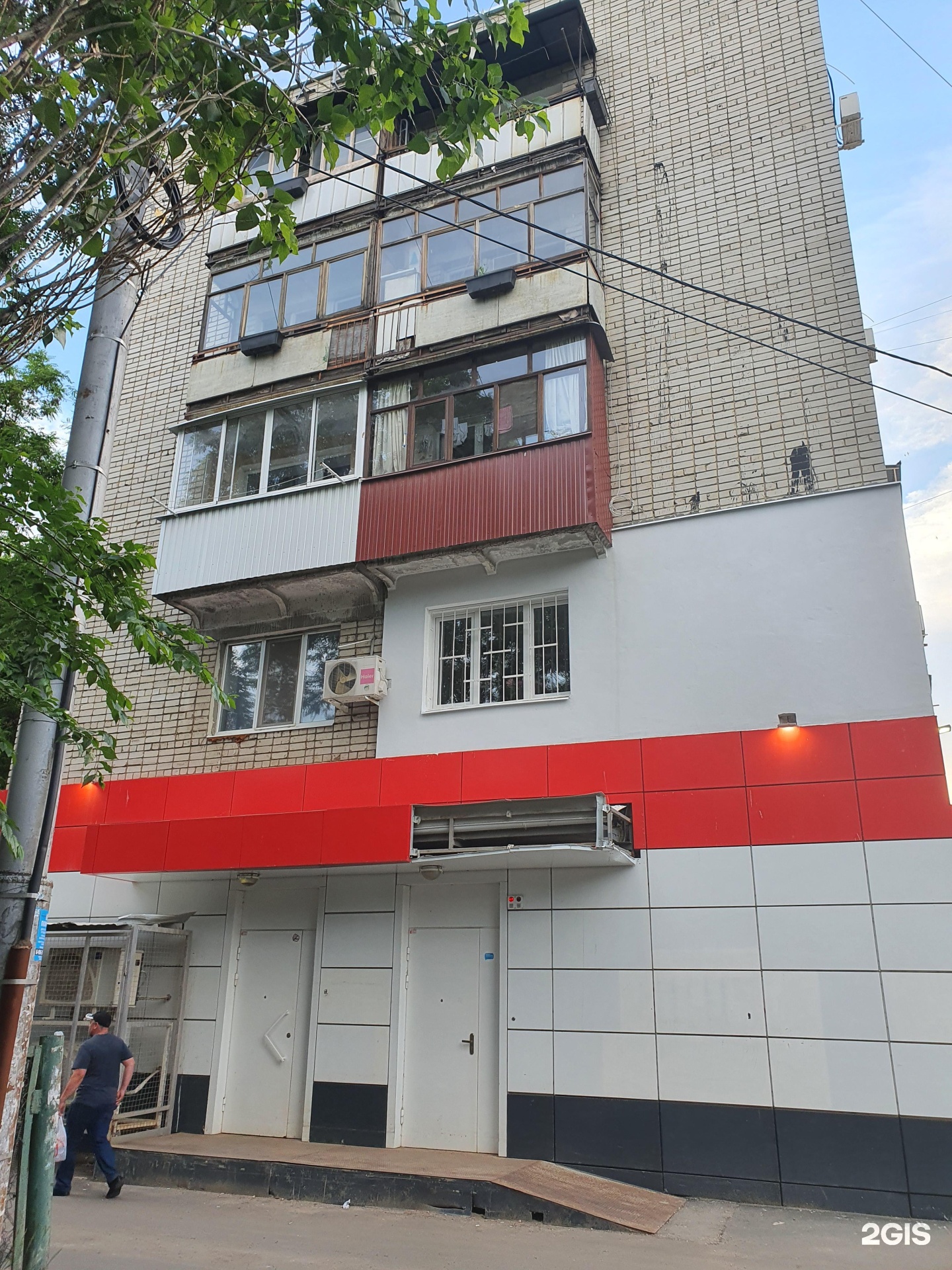 Белый филин, центр здоровья животных