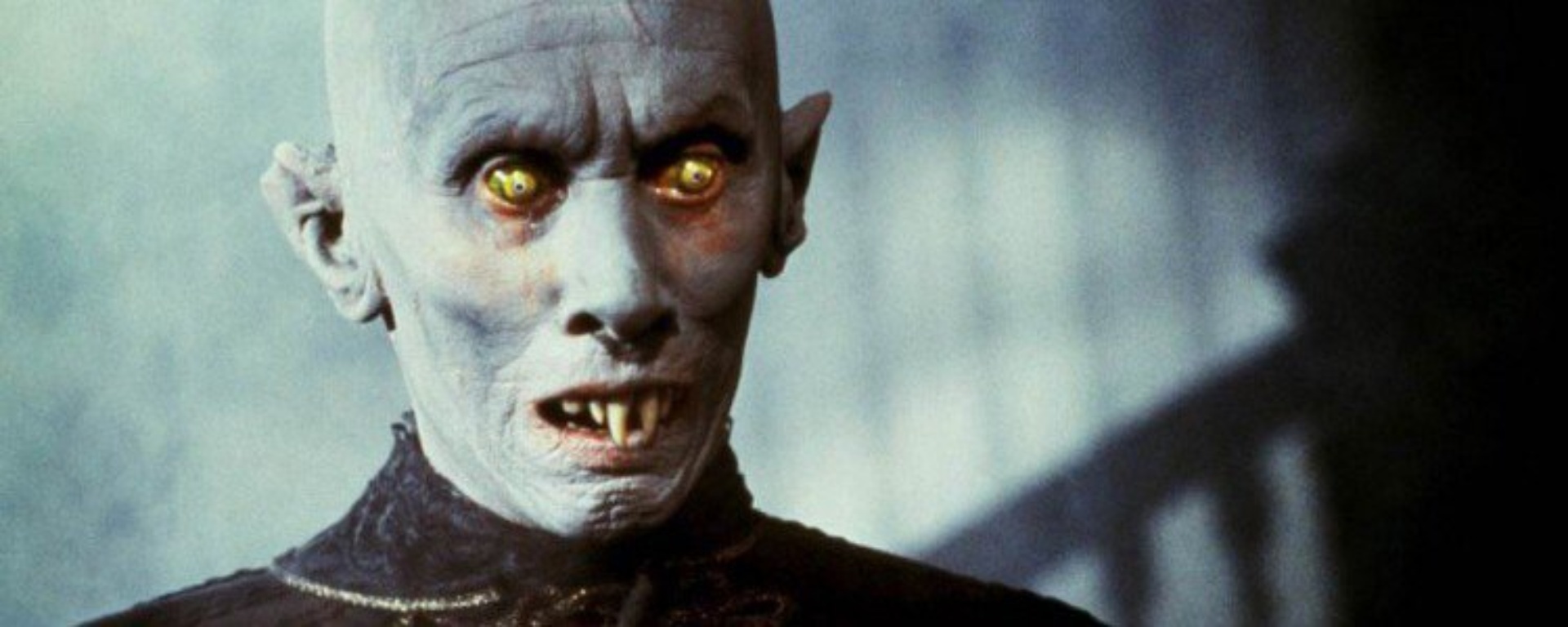 Boni, центр практической ветеринарной медицины