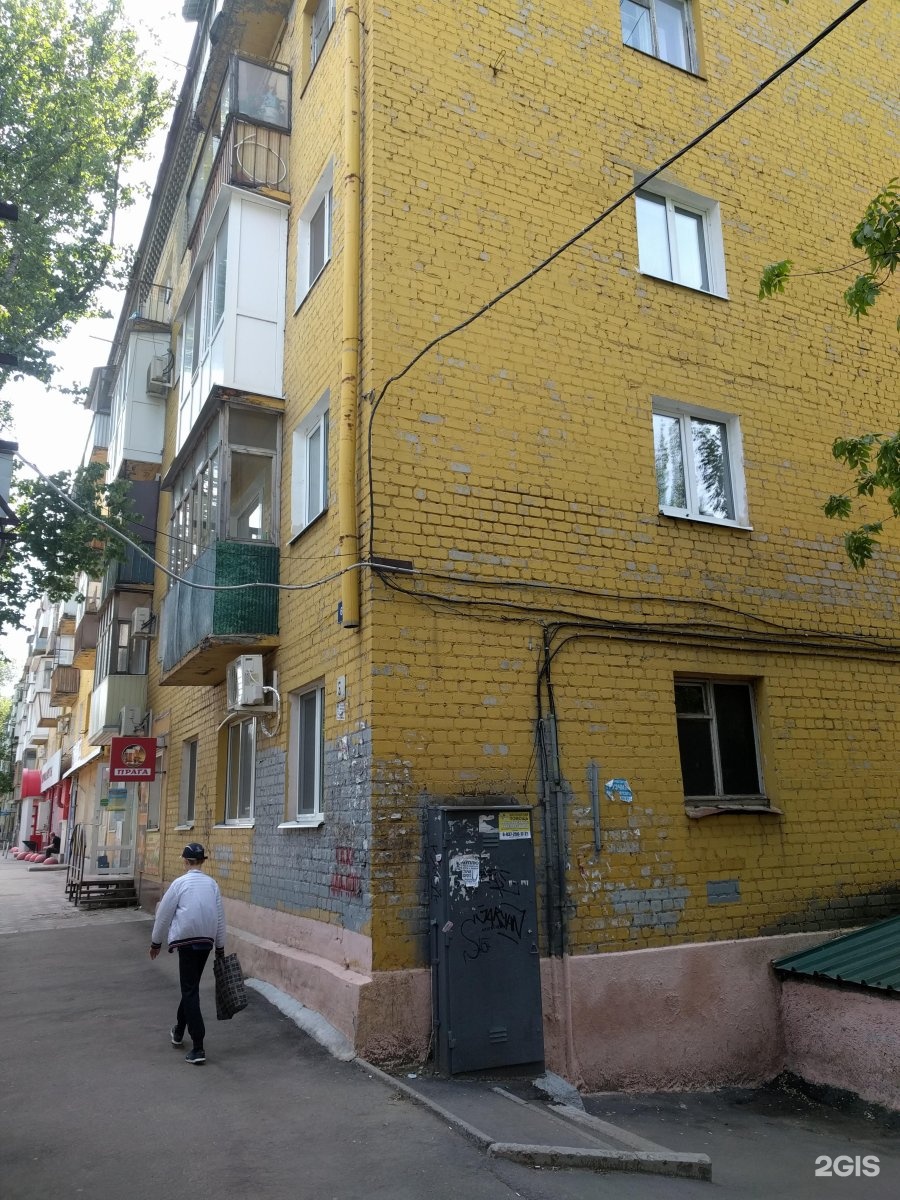 Пингвин, ветеринарная клиника