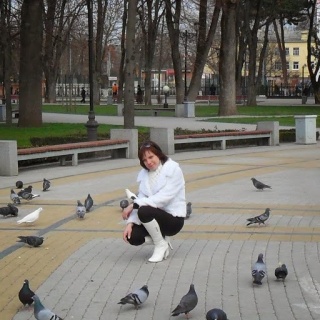 Пингвин, ветеринарная клиника