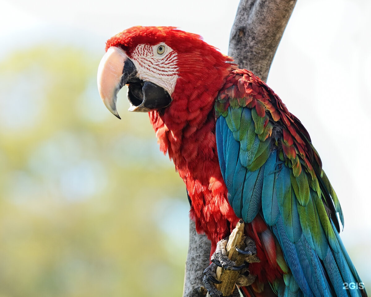 Zooмир, зоомагазин