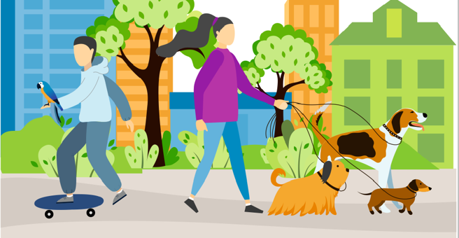 Планета Зоо, сеть удобных зоомагазинов — груминг Томск