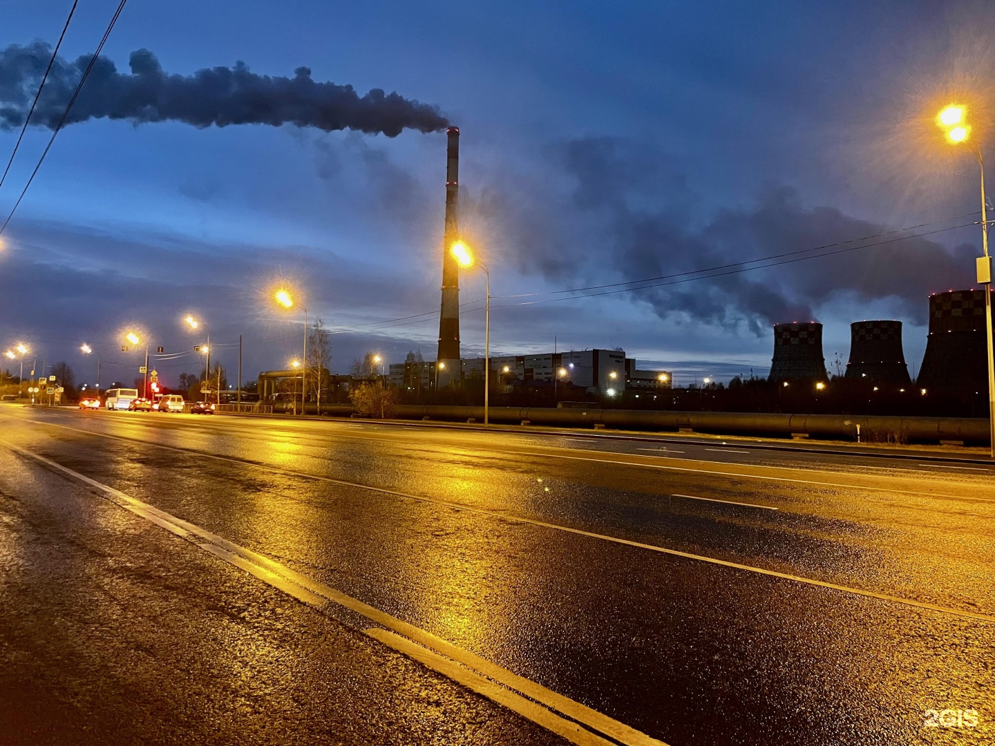 Top dog, центр дрессировки и зоогостиница