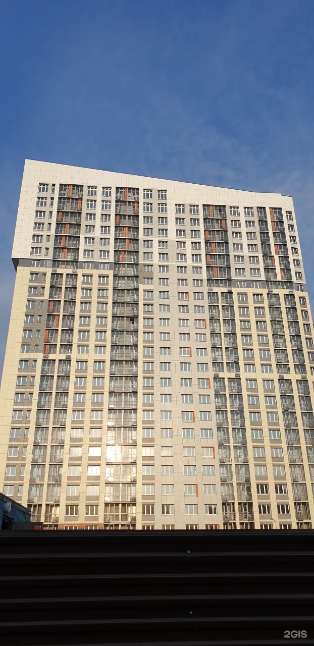 Barberdog, премиум СПА-центр для кошек и собак