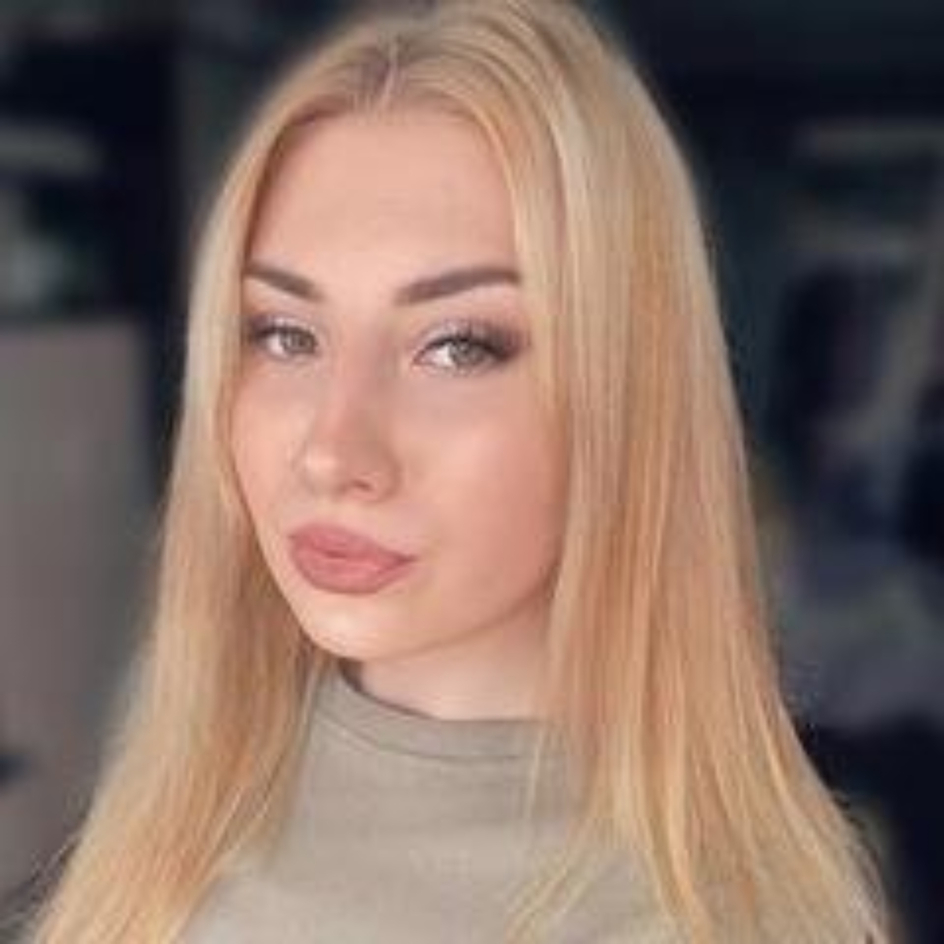 Barberdog, премиум СПА-центр для кошек и собак