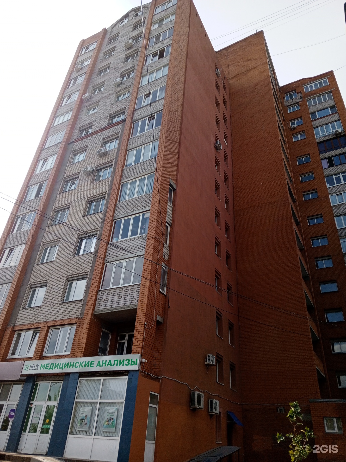 Groom, салон для животных