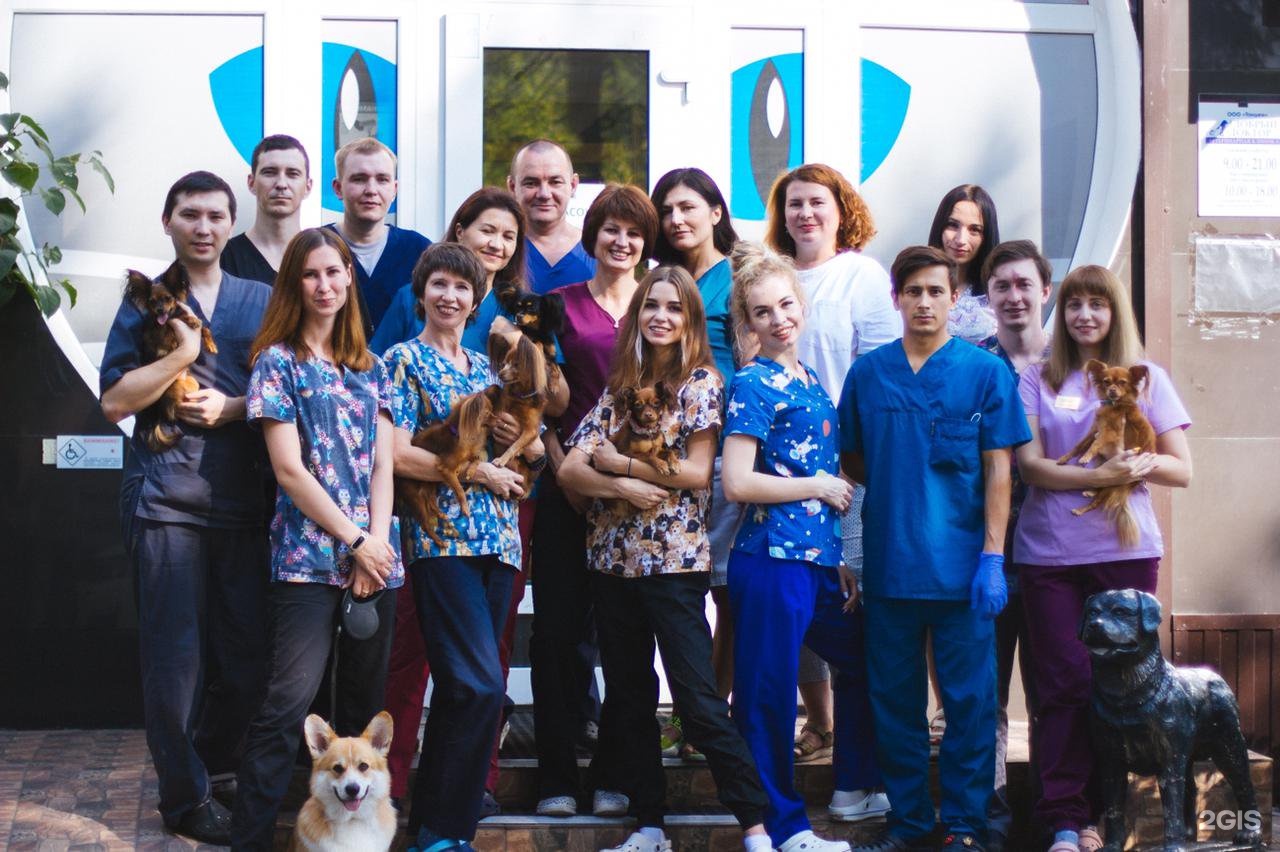 Наш добрый доктор, ветеринарная клиника — груминг Уфа