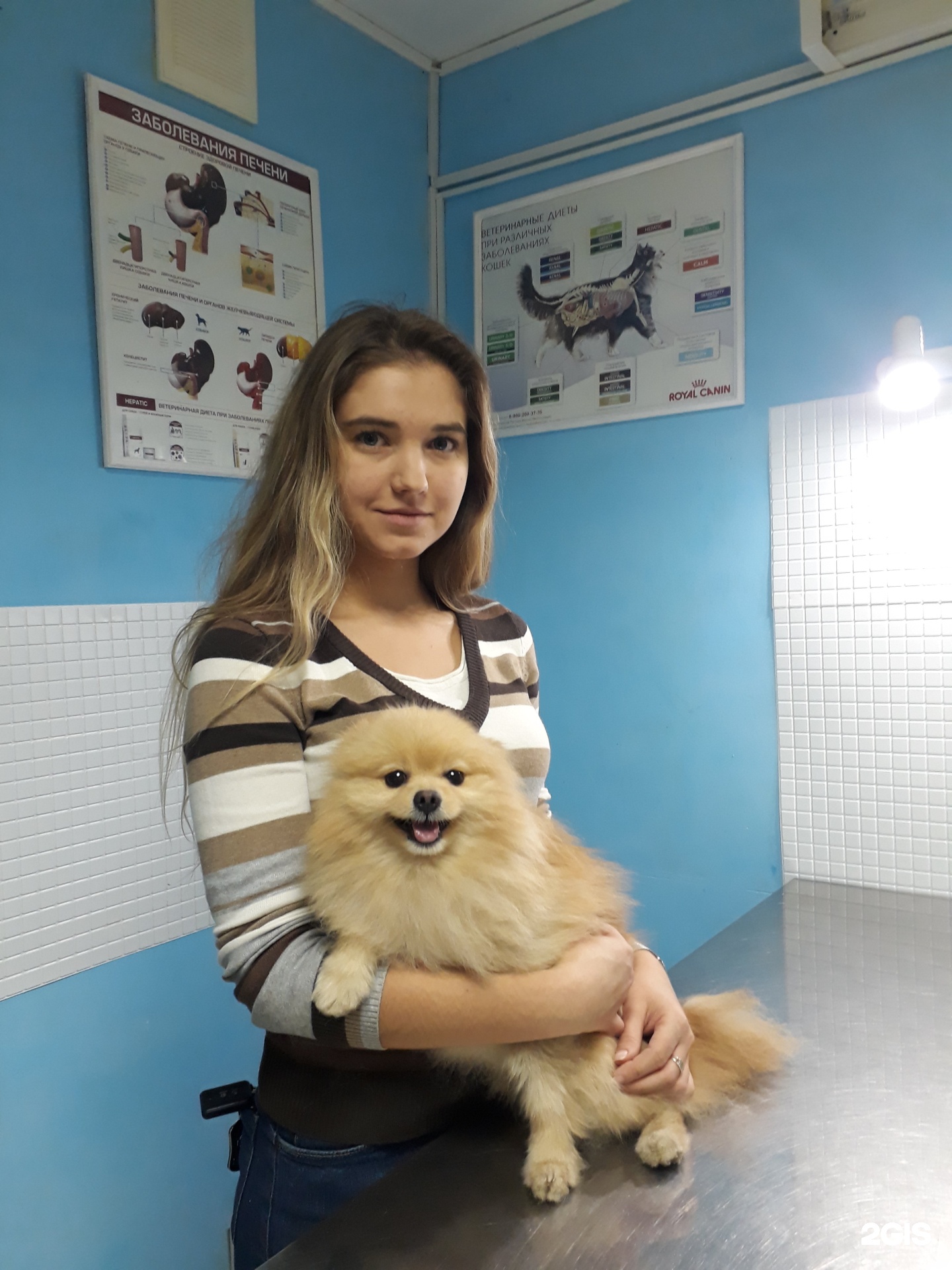 Ветхаус, ветеринарная клиника — груминг Уфа