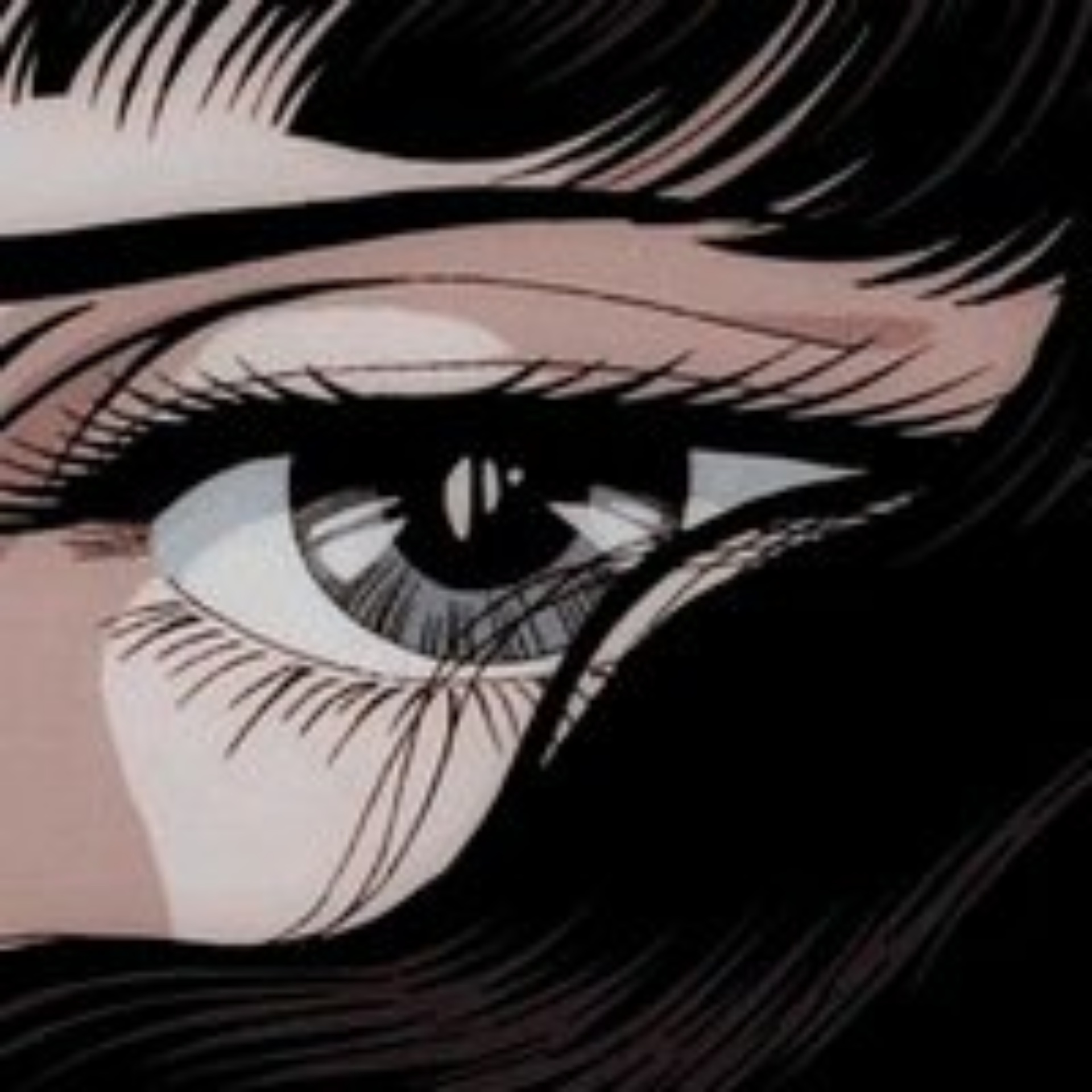 Ветхаус, ветеринарная клиника