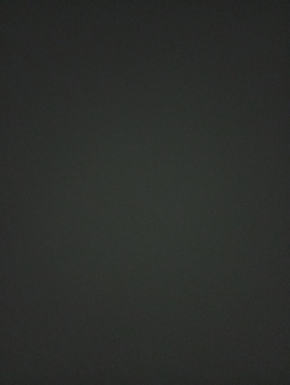 Ветленд, ветеринарный центр и магазин зоотоваров