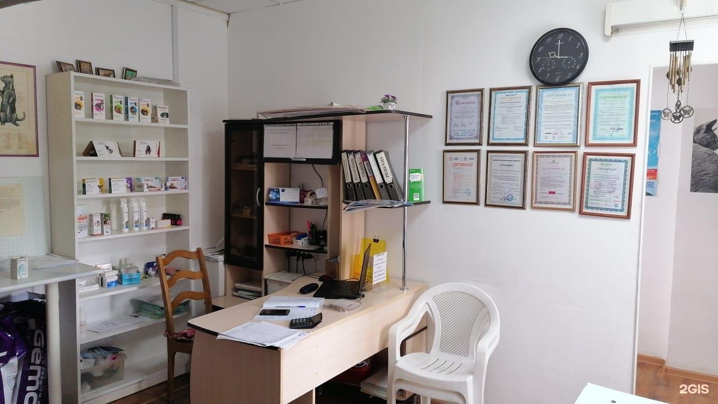 Зоодоктор, ветеринарная клиника — груминг Уфа