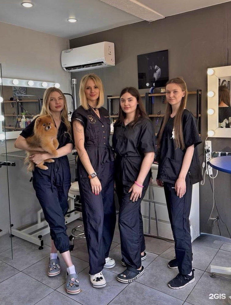 History grooming, салон для животных