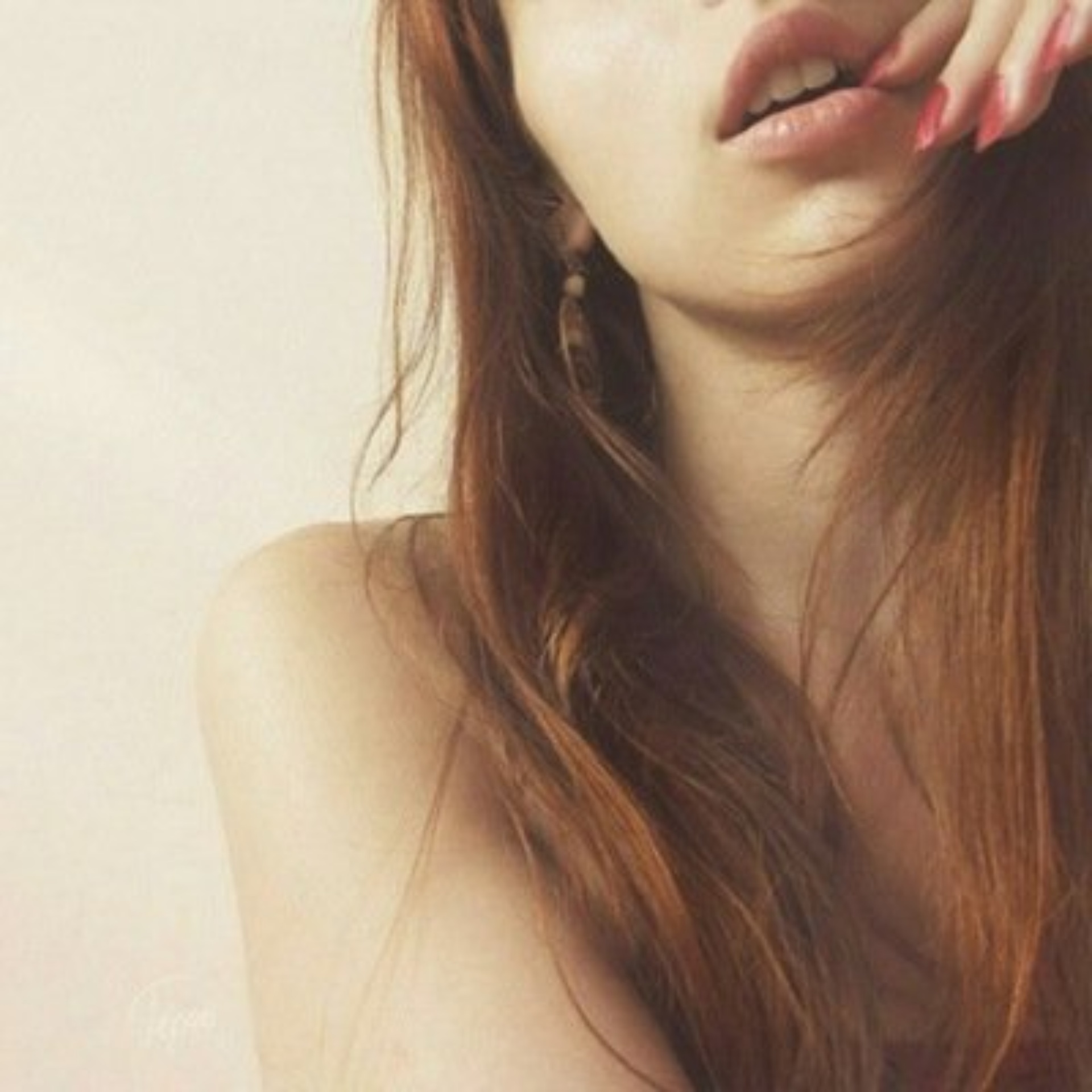 Trio dogcenter, центр по уходу за домашними животными