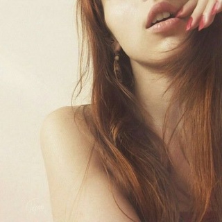 Trio dogcenter, центр по уходу за домашними животными