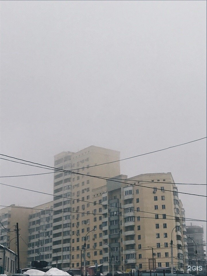 Бишон, зоосалон