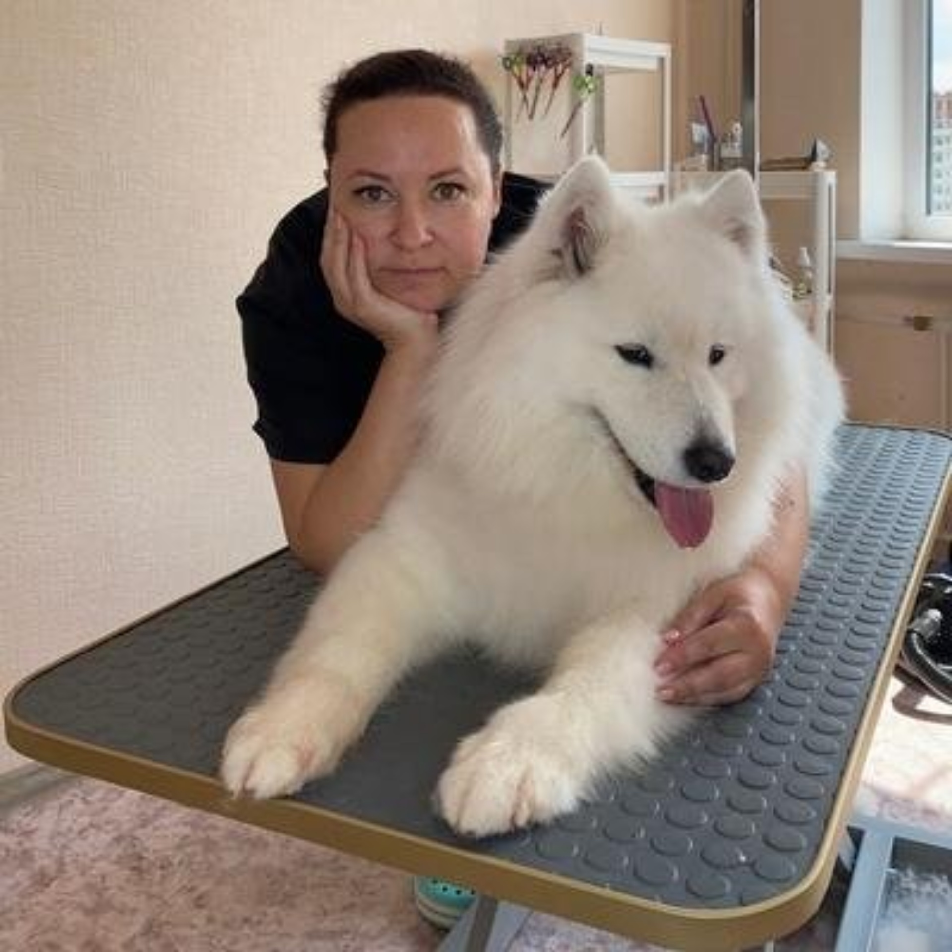 Бишон, зоосалон