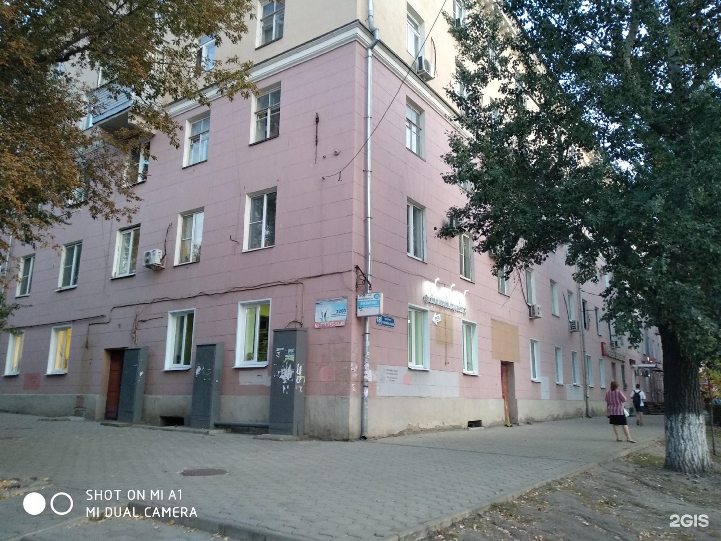 Корги vet, зооветеринарный центр