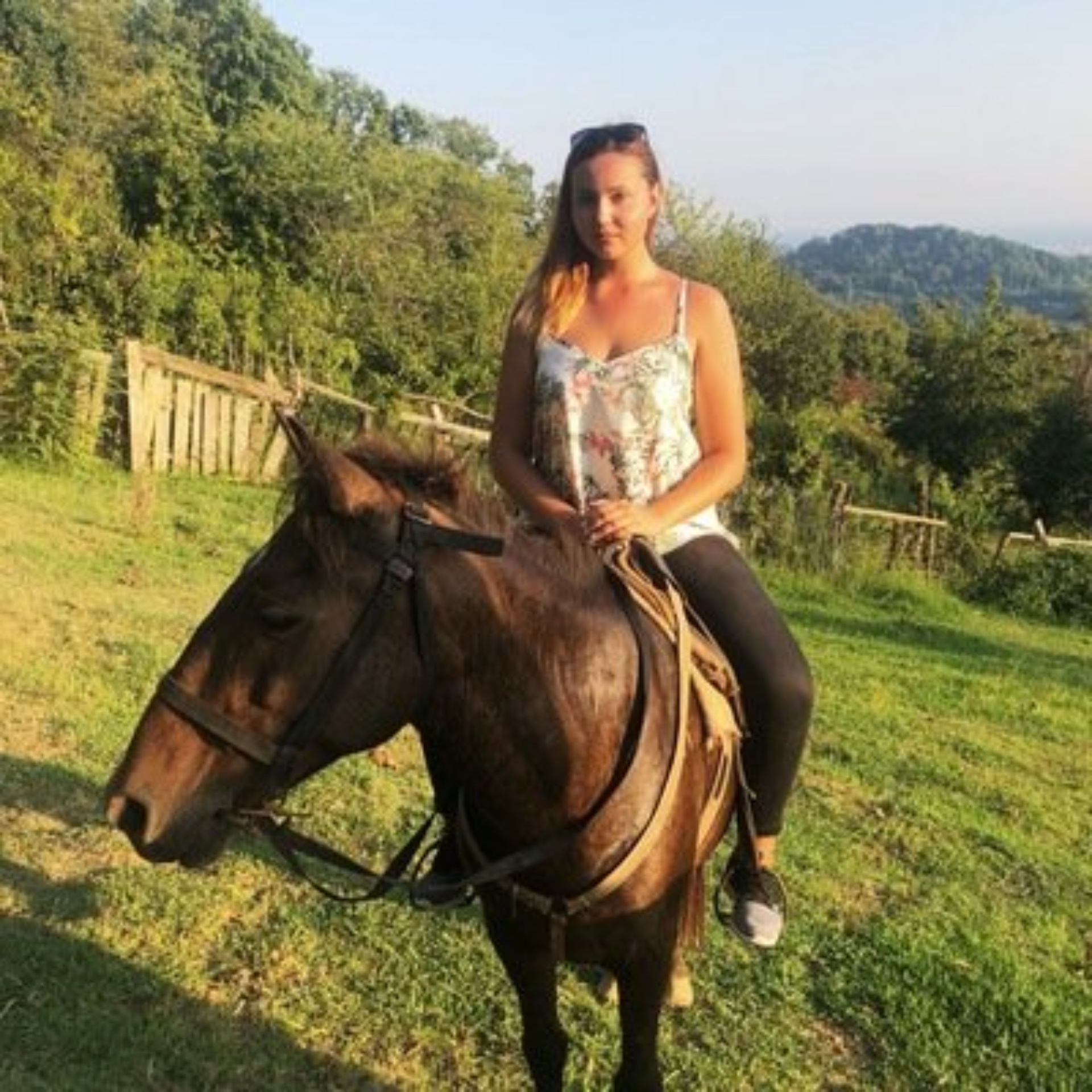 Корги vet, зооветеринарный центр