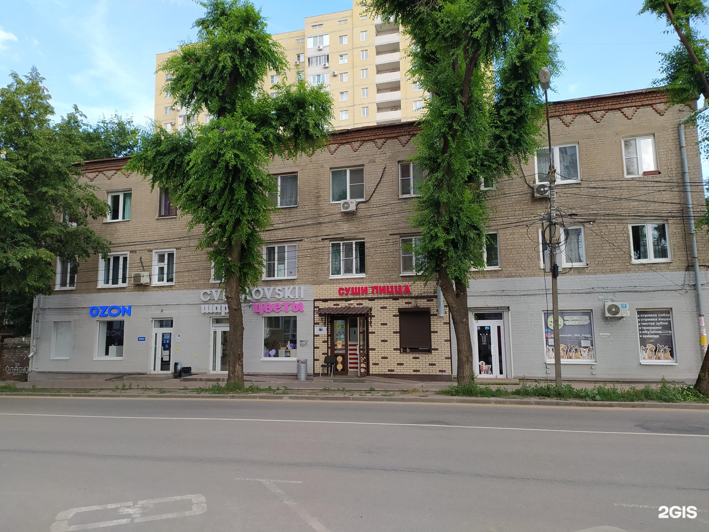 Студия груминга Екатерины Сычевой