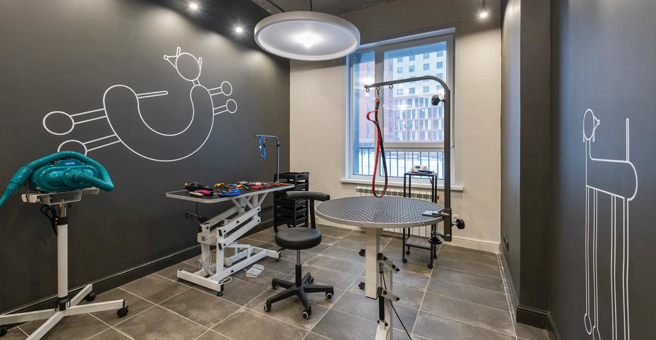 Barberdog, груминг-салон — груминг Ярославль