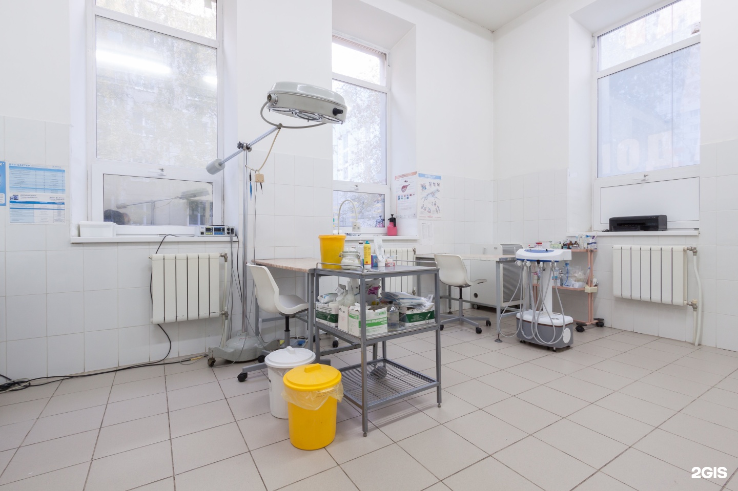 Доктор Айболит, сеть ветеринарных клиник — груминг Екатеринбург