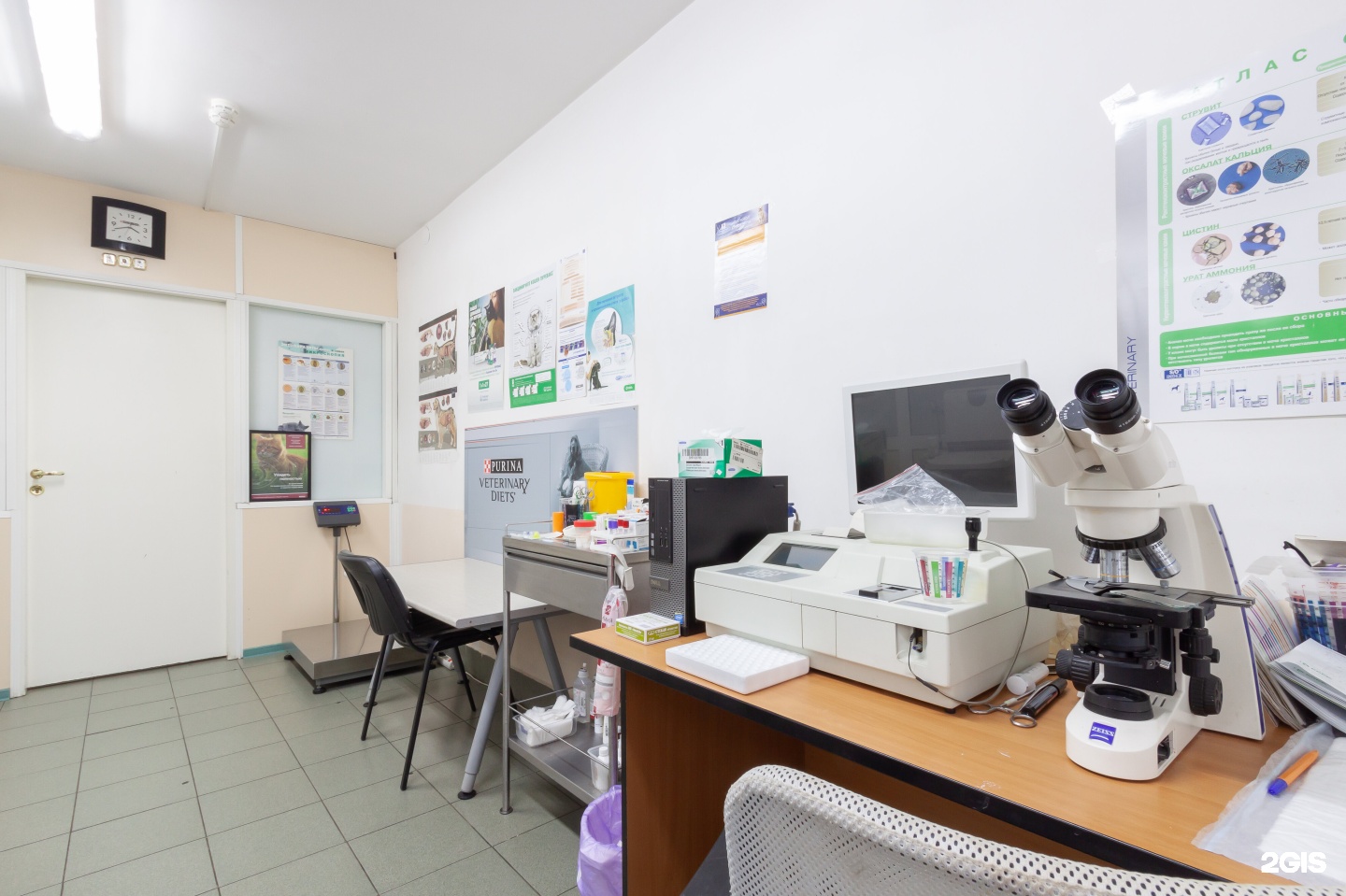 Доктор Айболит, сеть ветеринарных клиник — груминг Екатеринбург