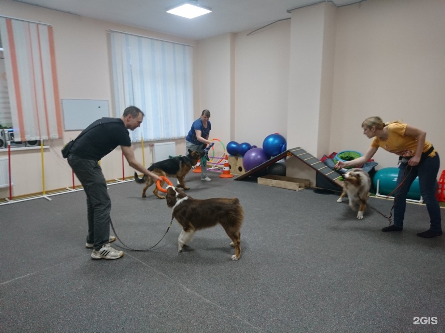 ФАУНВИЛЬ, зооцентр