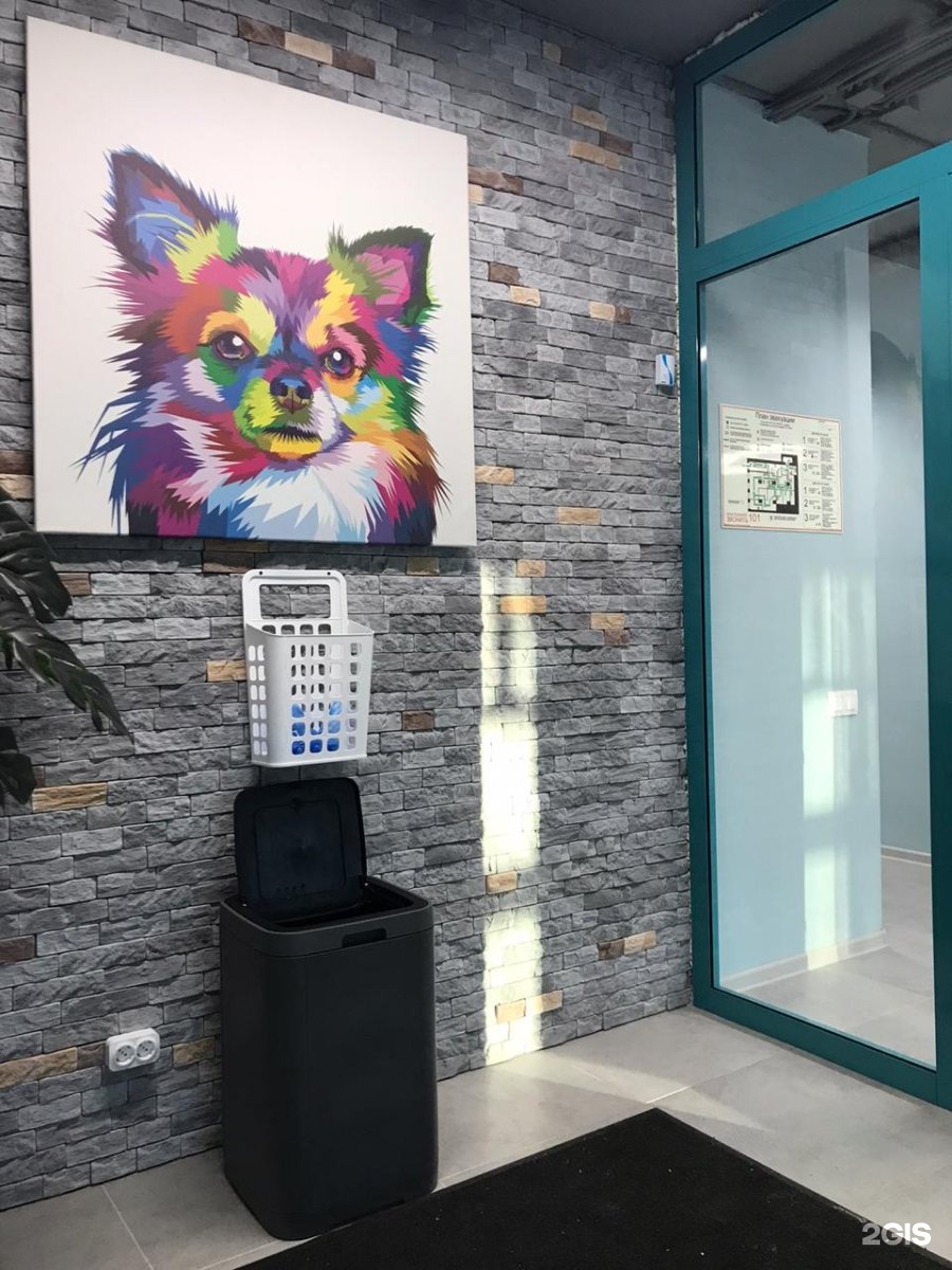 ИНВЕТА, ветеринарная клиника, Розы Люксембург — груминг Екатеринбург