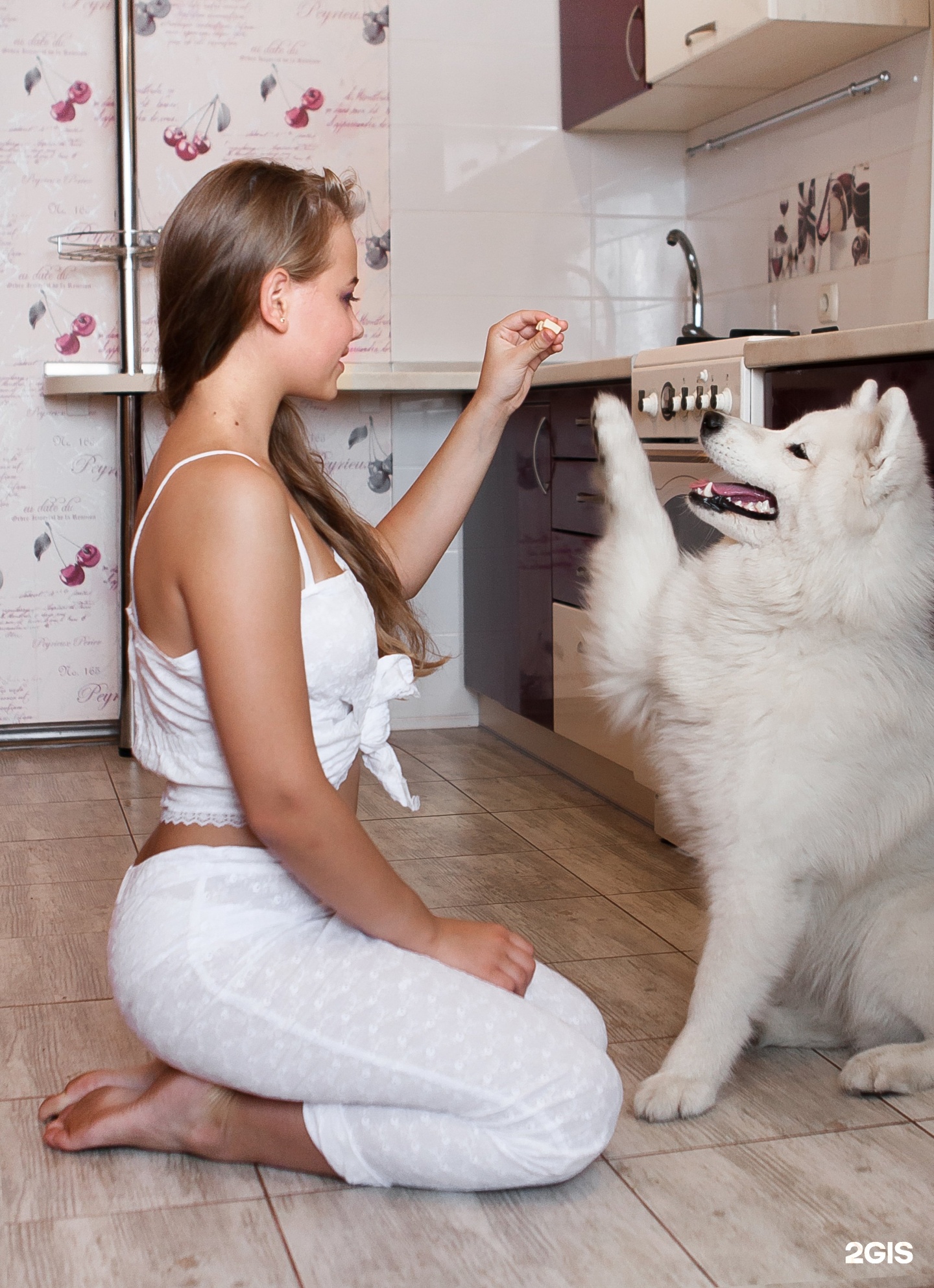 Кинологический портал — груминг Екатеринбург