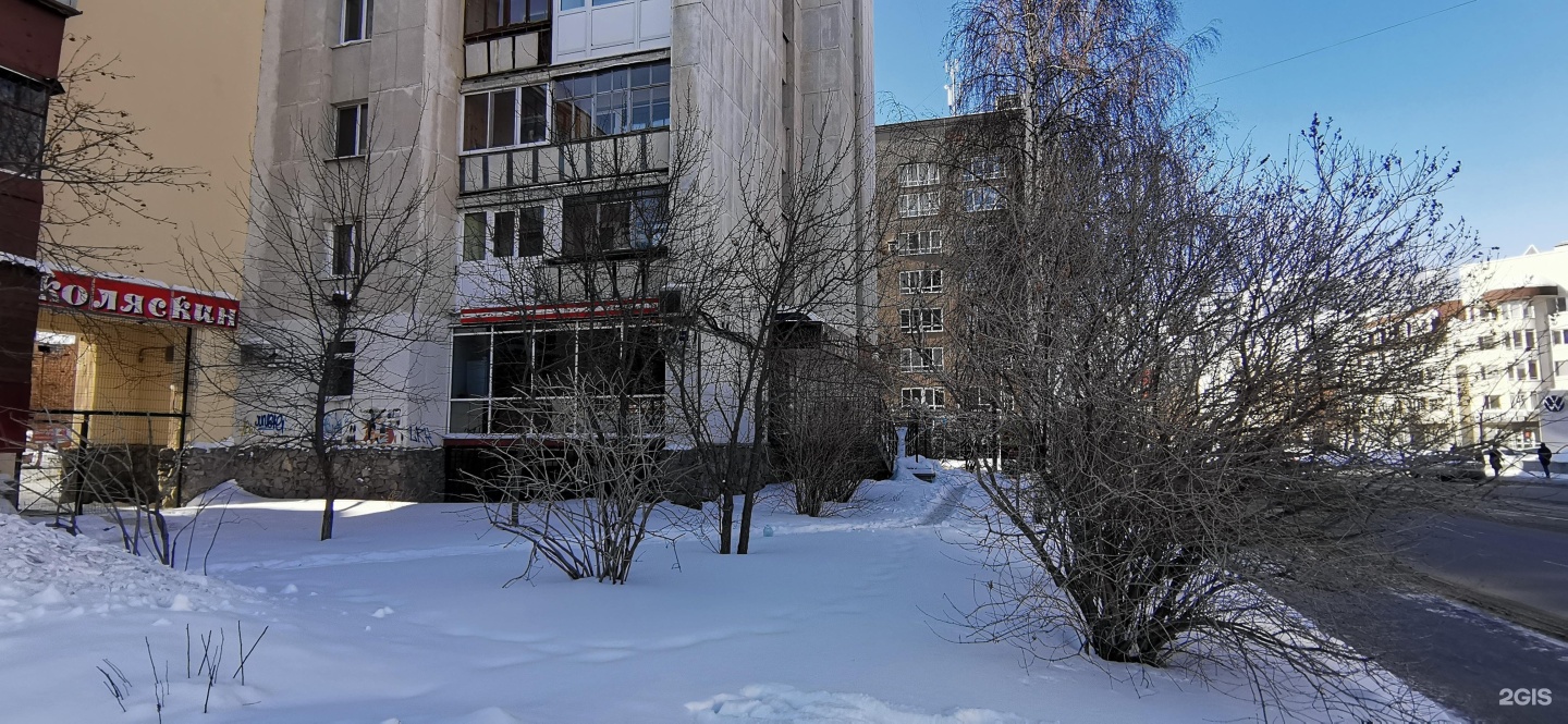 Лучший друг, ветеринарная клиника