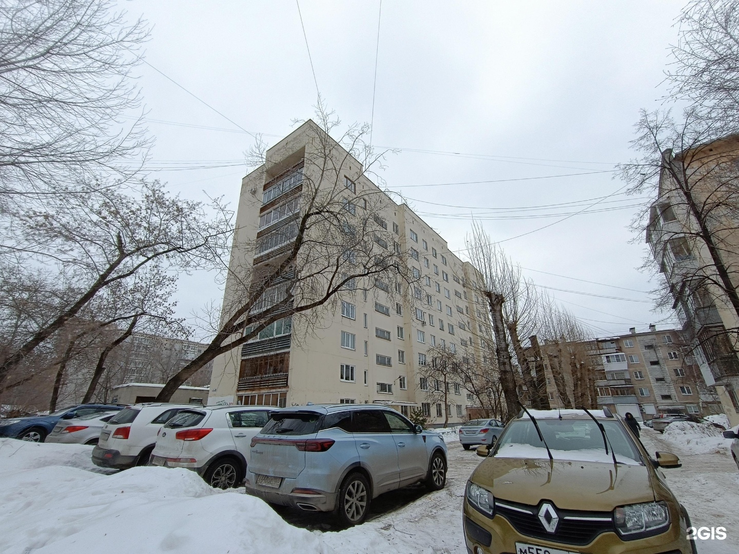 Ветдоктор, сеть ветеринарных клиник