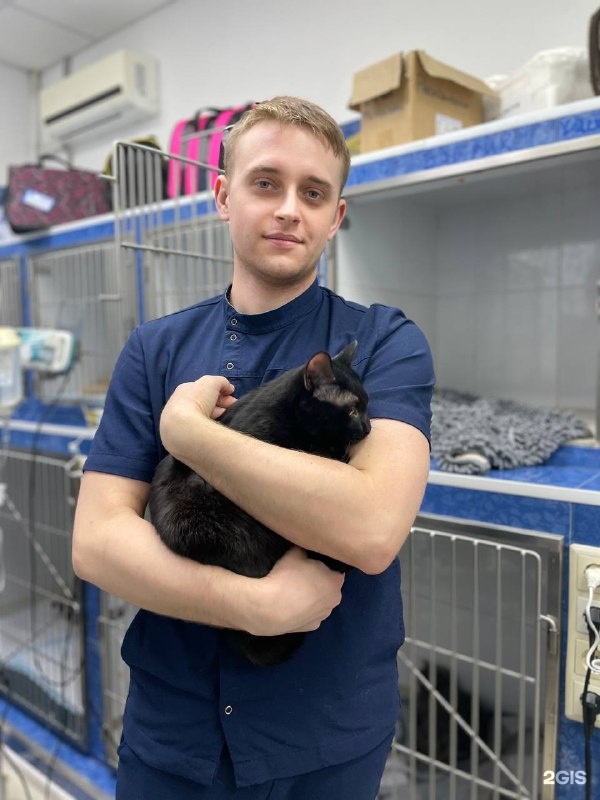 Зоодоктор, ветеринарная клиника, БЦ Решетников, проезд Решетникова — груминг Екатеринбург